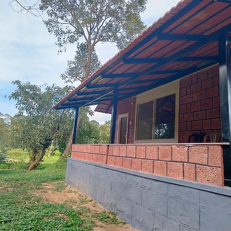 Nature Spot Cottages Coorg Kurchi Exterior photo